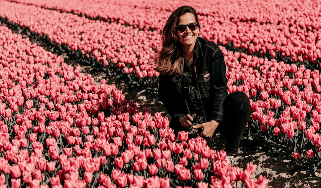 Flores na Holanda - campos de tulipas