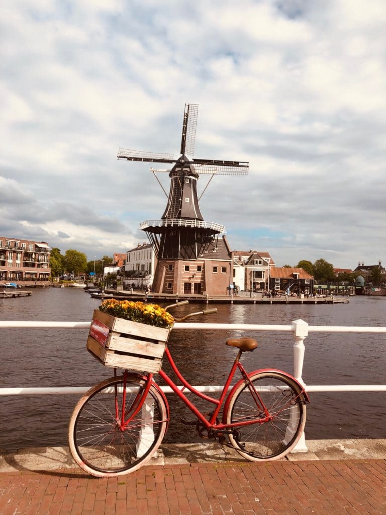 Bate volta de Amsterdam - Haarlem