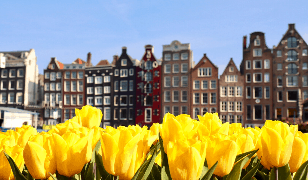Tulipas em Amsterdam