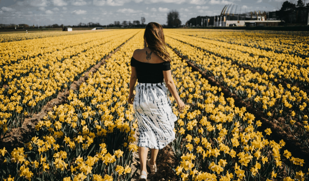Campos de flores Holanda